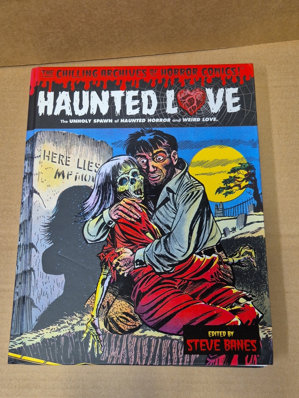 Haunted Love Hardcover - Edited By Steve Banes